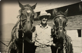 Featured Our Schiller History